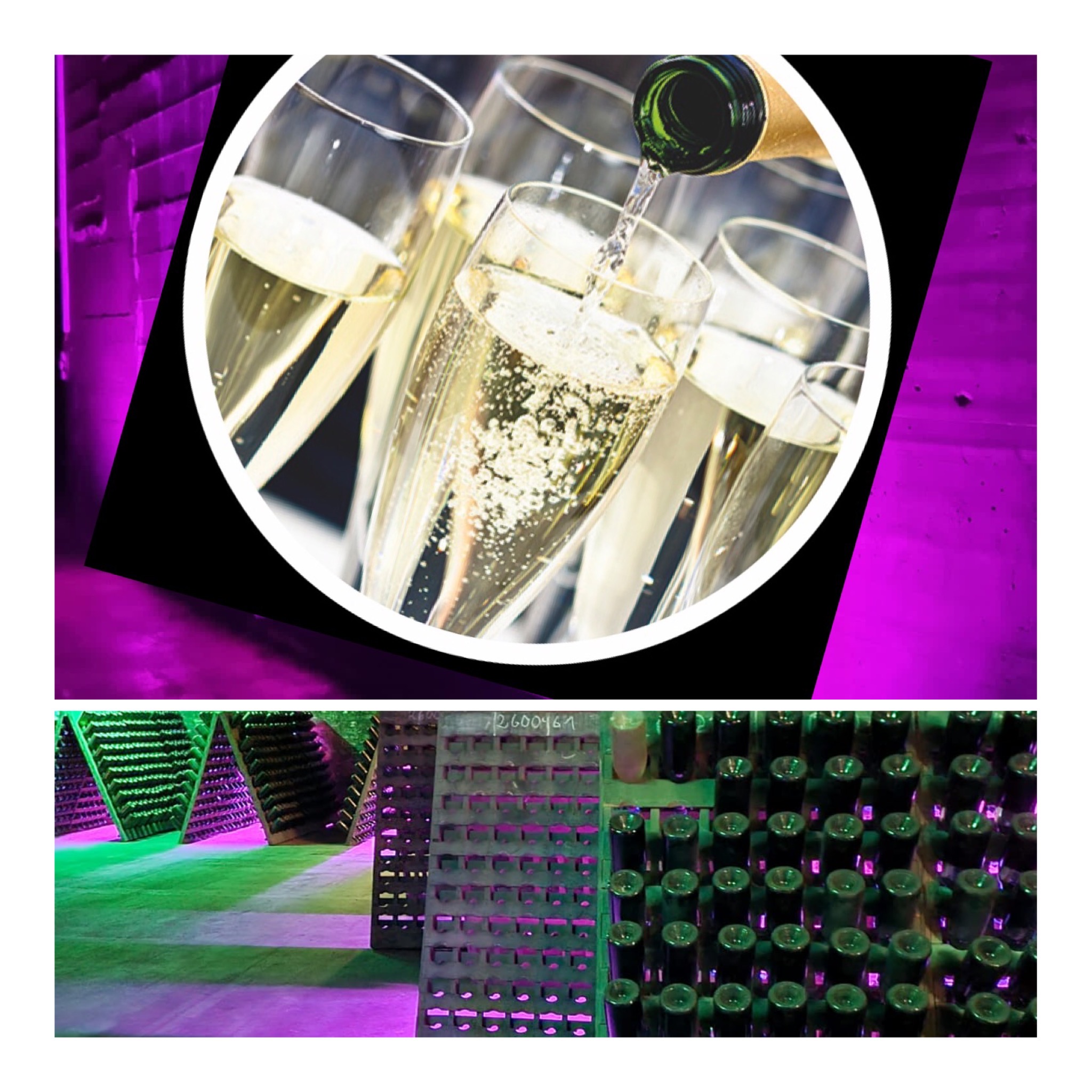 Bild: Eine Liebeserklärung an die Mandelblüte!