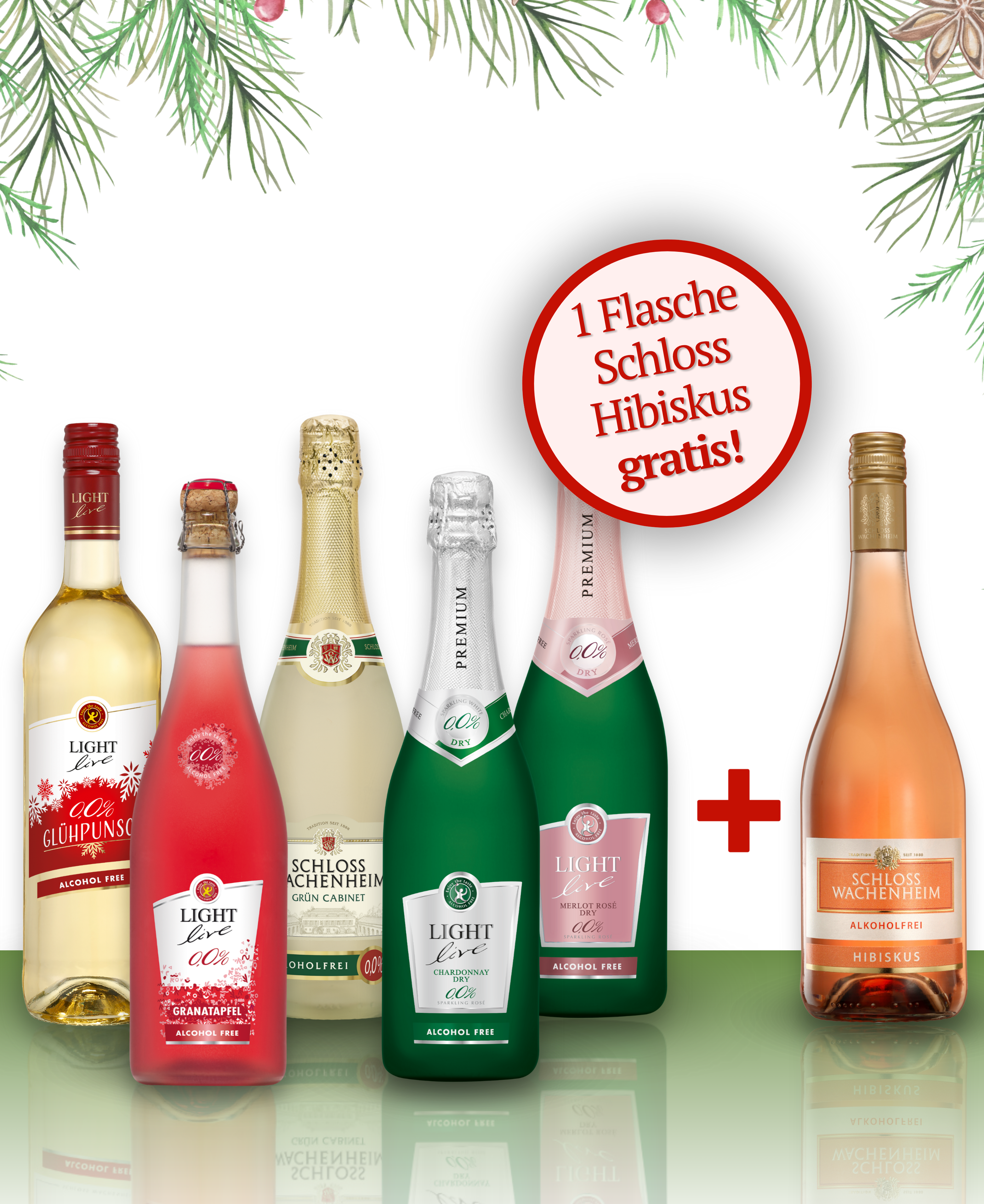 Foto: Abbildung zeigt das Produkt "TRY DRY-Wintertime"