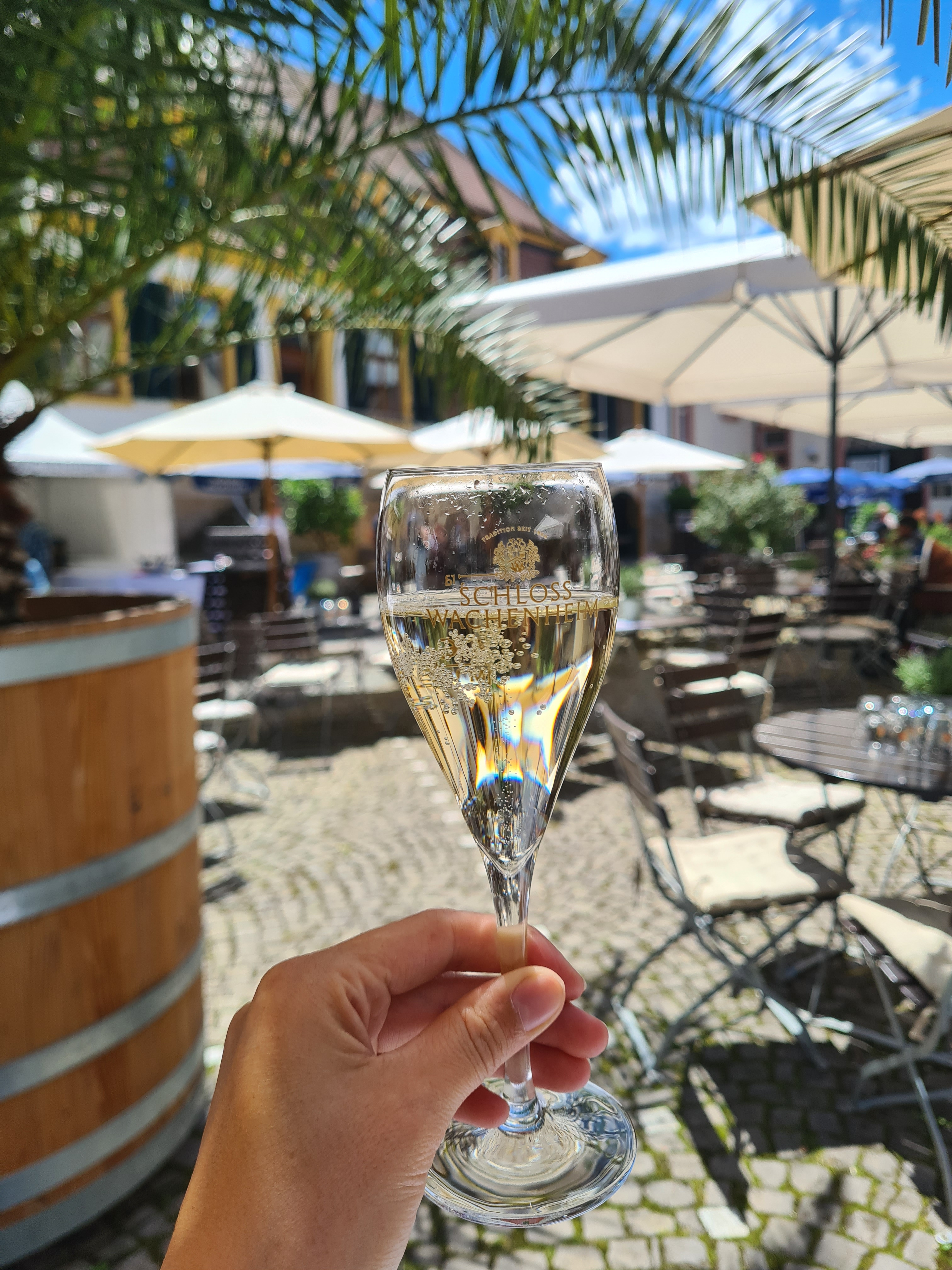 Bild: LIVEMUSIK im Schlosshof mit Matteo di Maggio!